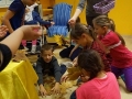 foto02.jpg