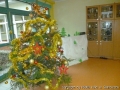 foto04.jpg