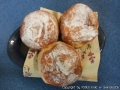 foto01.jpg