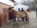 foto01.jpg