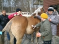 foto03.jpg