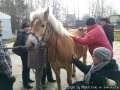 foto06.jpg
