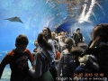 foto04