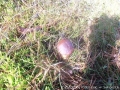 foto01