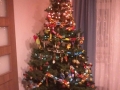 foto01