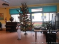 foto011