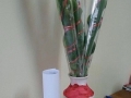 foto01