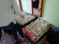 foto05