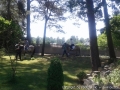 foto014