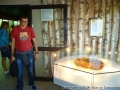 foto029