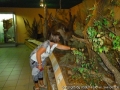 foto03