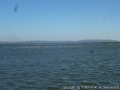 foto01