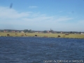 foto07