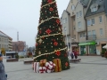 foto013