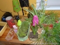 foto017
