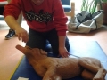 foto017