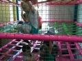 foto029