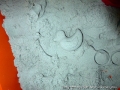 foto07