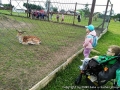 foto010
