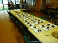 foto05
