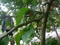 foto01