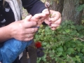foto03