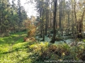 foto03