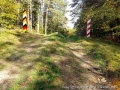 foto036