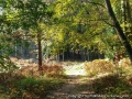 foto09