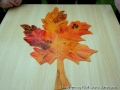 foto06