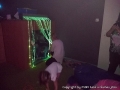 foto01