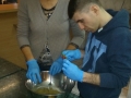 foto02