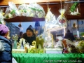foto024