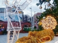 foto06