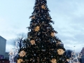 foto08