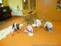 foto01