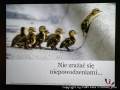 foto016