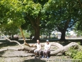 foto012