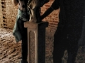 foto02