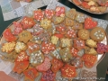 foto01
