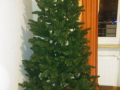foto02