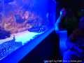 foto036