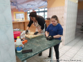 foto001