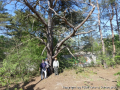 foto04