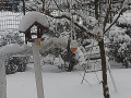 foto01