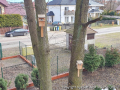 foto08