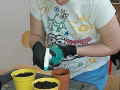 foto03