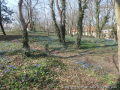 foto03