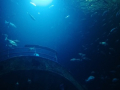 foto055