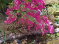 foto06